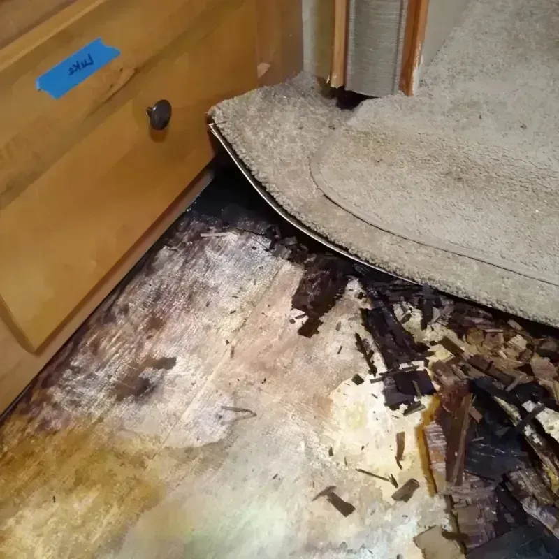 Wood Floor Water Damage in Treasure Island, FL